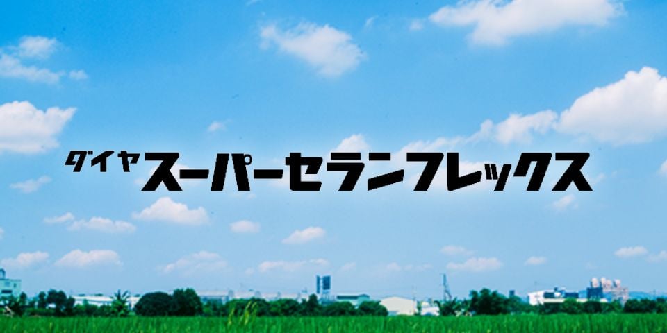 スーパーセランフレックス