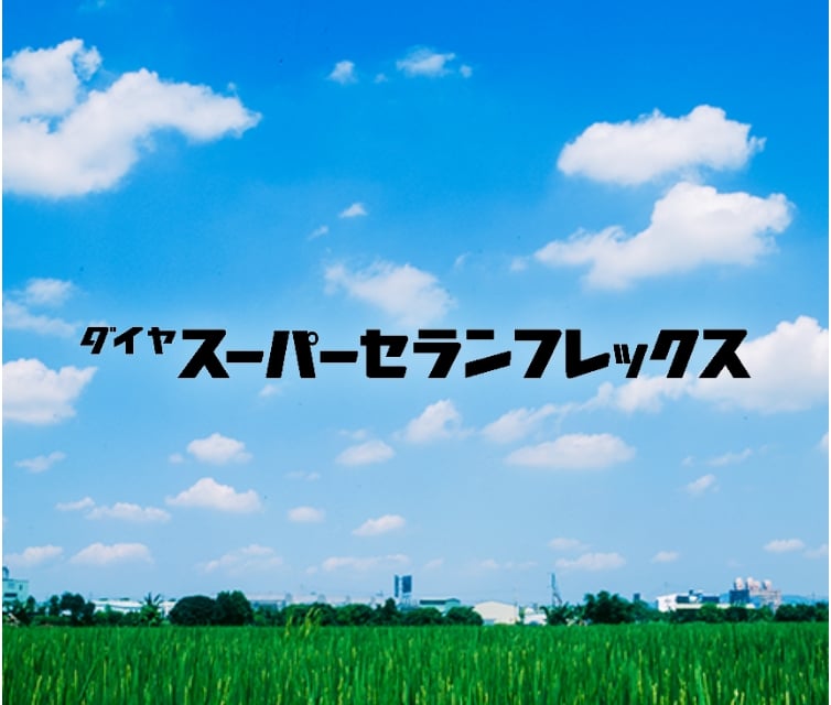 スーパーセランフレックス